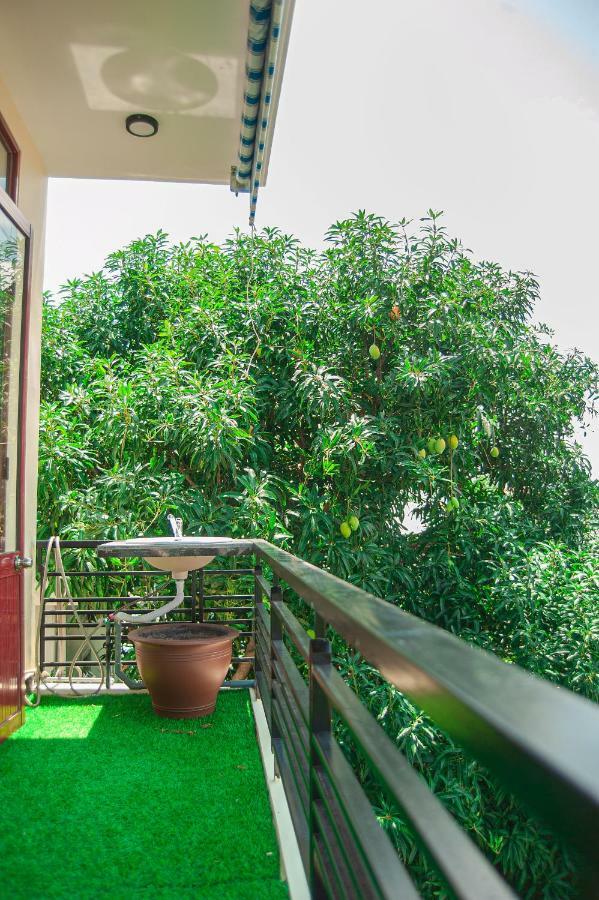 Golden Soulmate Homestay 호이안 외부 사진
